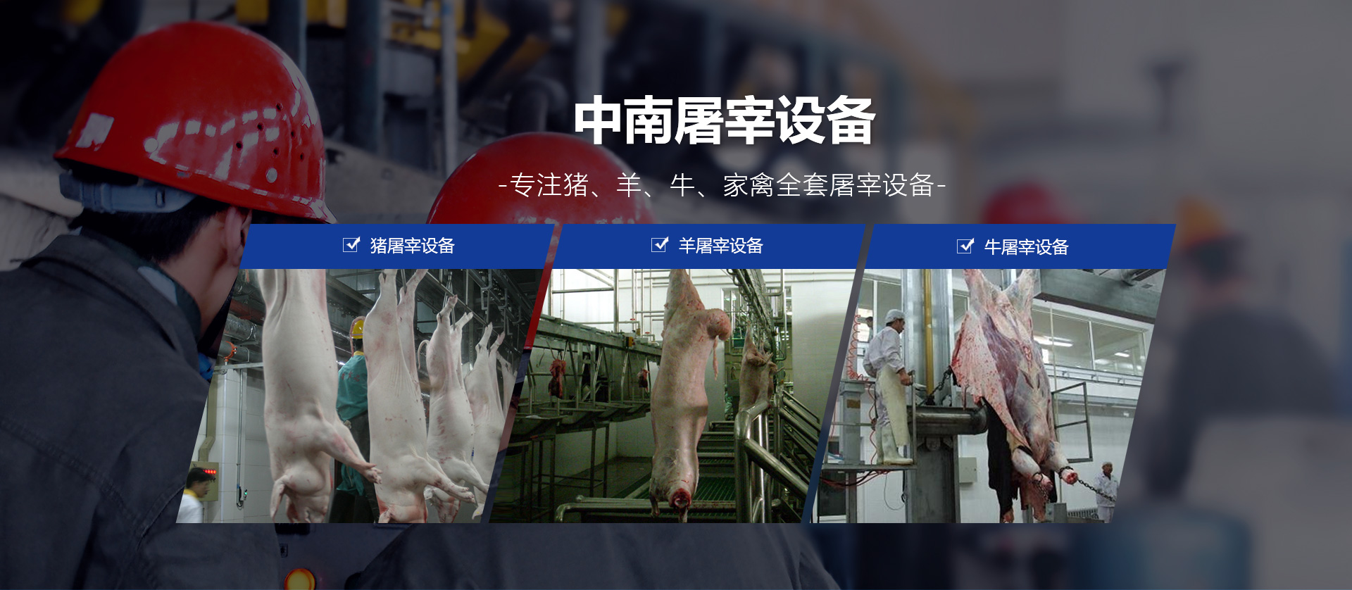 中南屠宰設備
